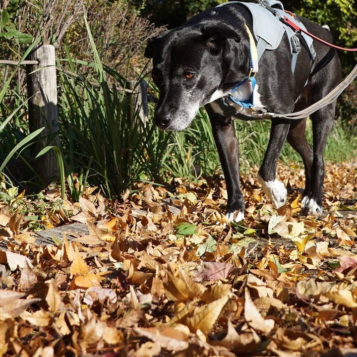 2715060f 0275 43a3 a3de f411fc1dfbb7 1762217623617