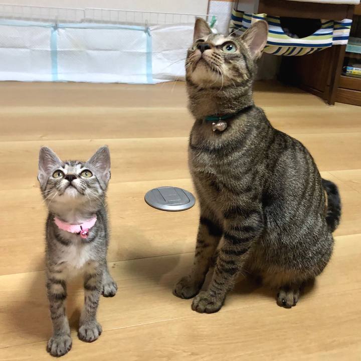 271516be 8ae2 4e2c 84e4 e5d68b92492a 1530020034722