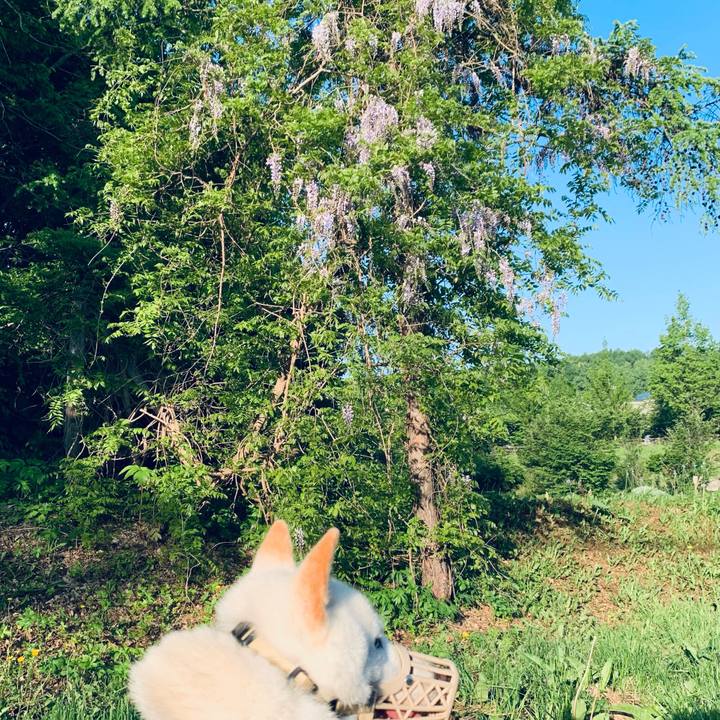 27152177 352b 4d1a b0a1 1c61edabe05d 1622927240757