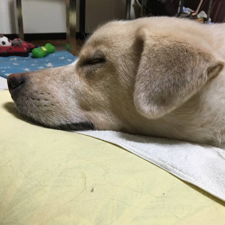 27156739 9251 41df b7d3 ce31552e75a6 1530880570948