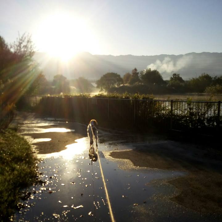 271590e3 44d3 4411 bf8c 28ff61dd409b 1509495051793