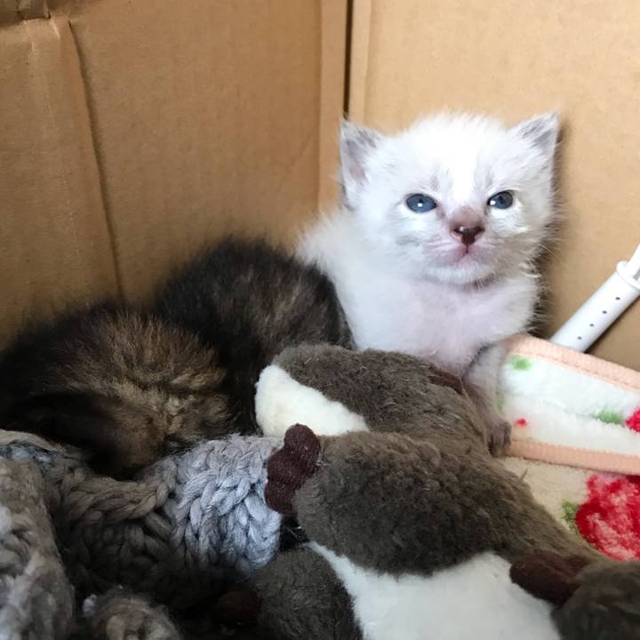 27159fff 9849 425a 9302 a23127b6ed35 1555901096524