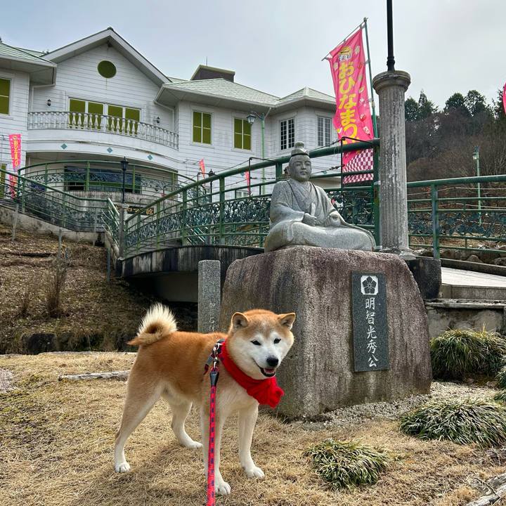 2715cd9d c237 4815 b84b 613eb0d262b5 1741857504078