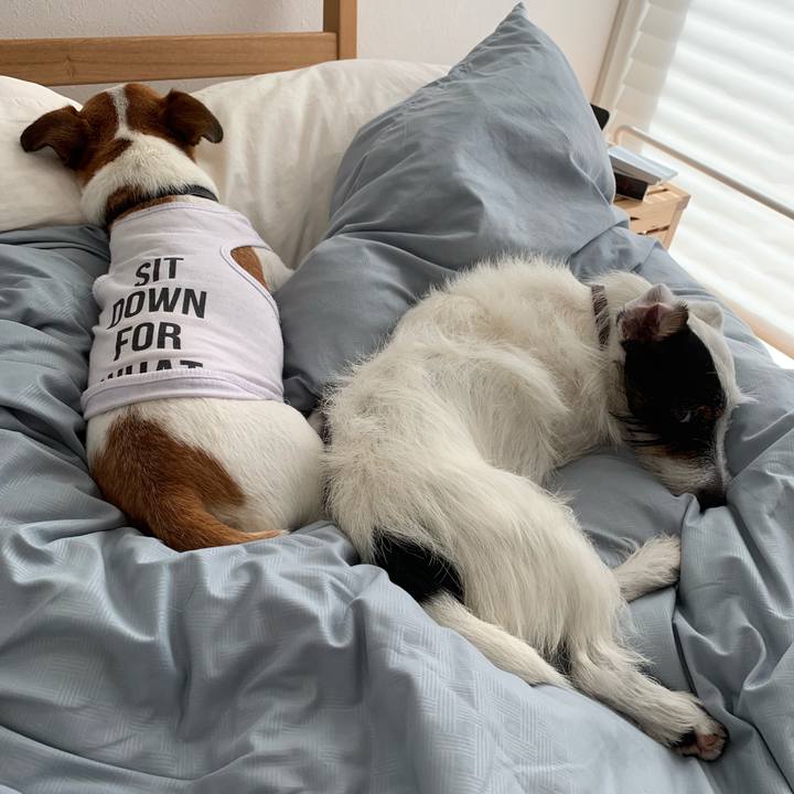 2715d9c3 4bf9 4609 bb1b 34e218f5b823 1563514481865