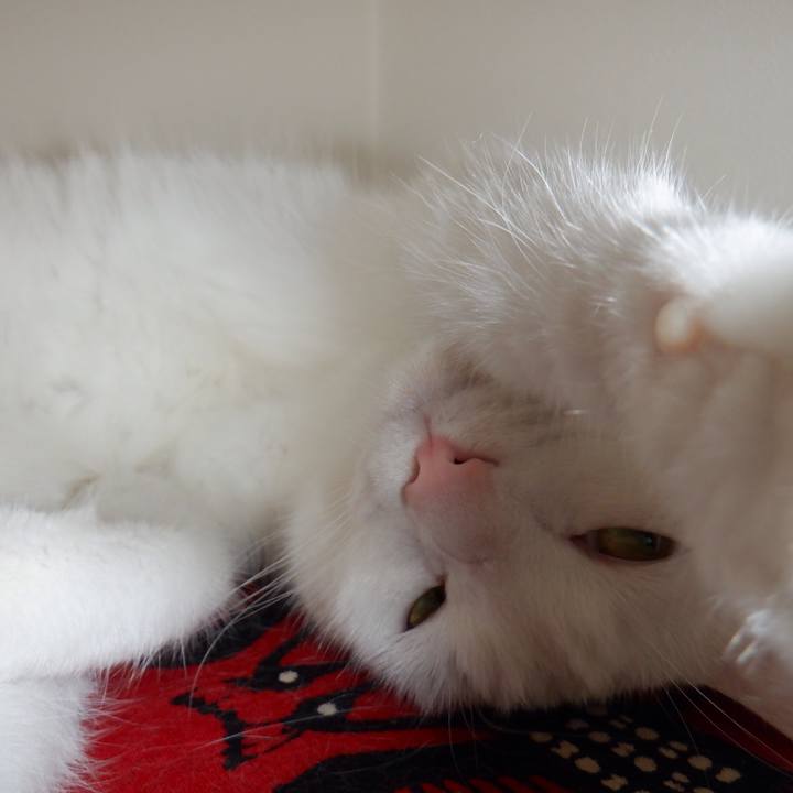 27160bf8 ecdf 4a0a 8463 721d56e4c05b 1632454234866