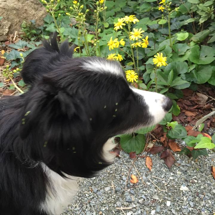 27161695 eba2 43cd b5c5 9b0083cafdd7 1540681120179