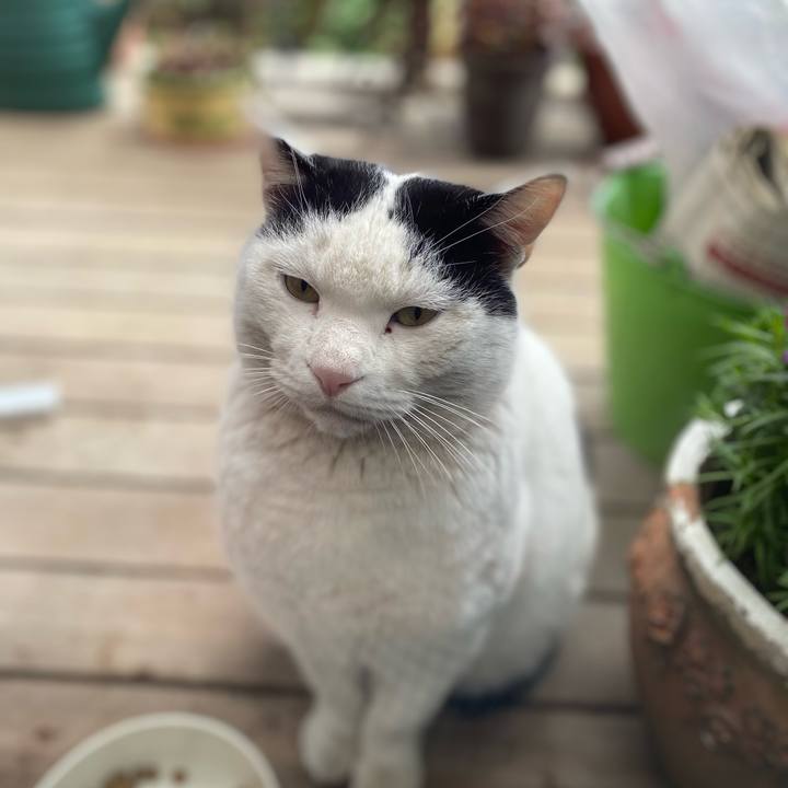 27161e86 e89c 482b bc70 dd2367223325 1645080178753