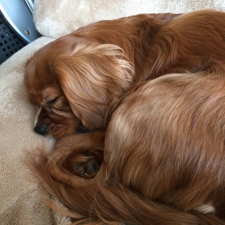 271638c1 5239 4c95 a22c 8c56190c18fc 1516424948393