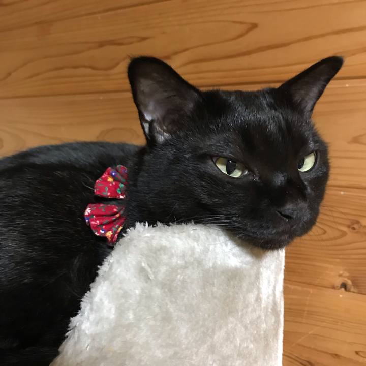 2716a0a9 8323 42f6 a8ae 88c71ff29873 1538050510616