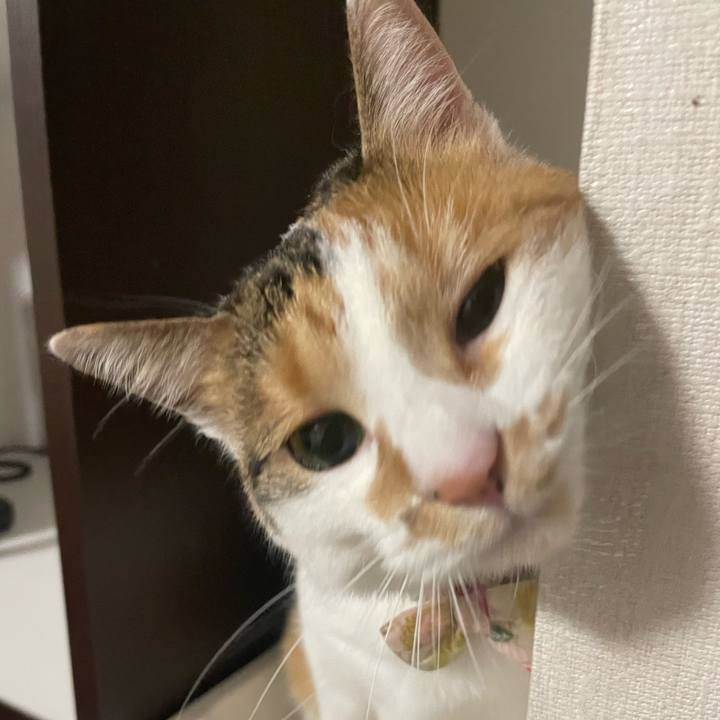 2716a801 651d 4fc0 80a6 d9ca2458eebb 1642030249553