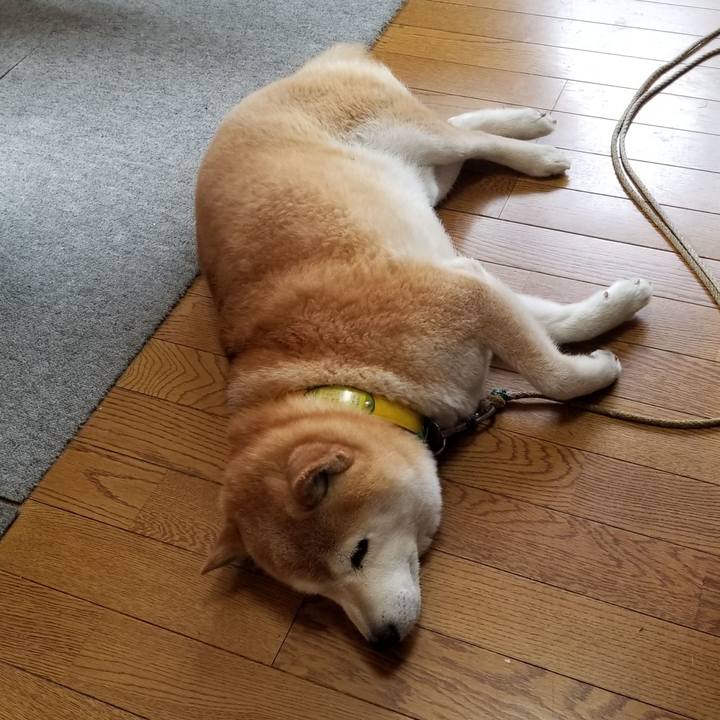 2716d800 3a7f 4507 b583 c6129d1f887e 1684627881869