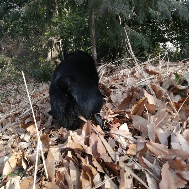 2716dada 417f 4896 a9f4 4a723b224a12 1613177315131