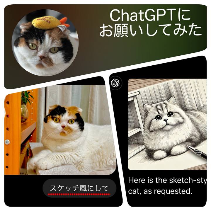 27171a8f a815 4265 8ca6 810eef677ca4 1726617819748