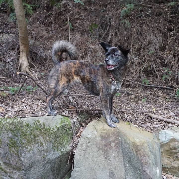 27178797 7e0c 4571 b763 4fc8a7f2f47d 1524233083715