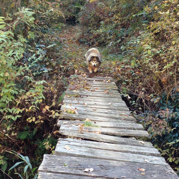 27178d98 6e26 4ce9 80d1 e415e4f95322 1589301597516