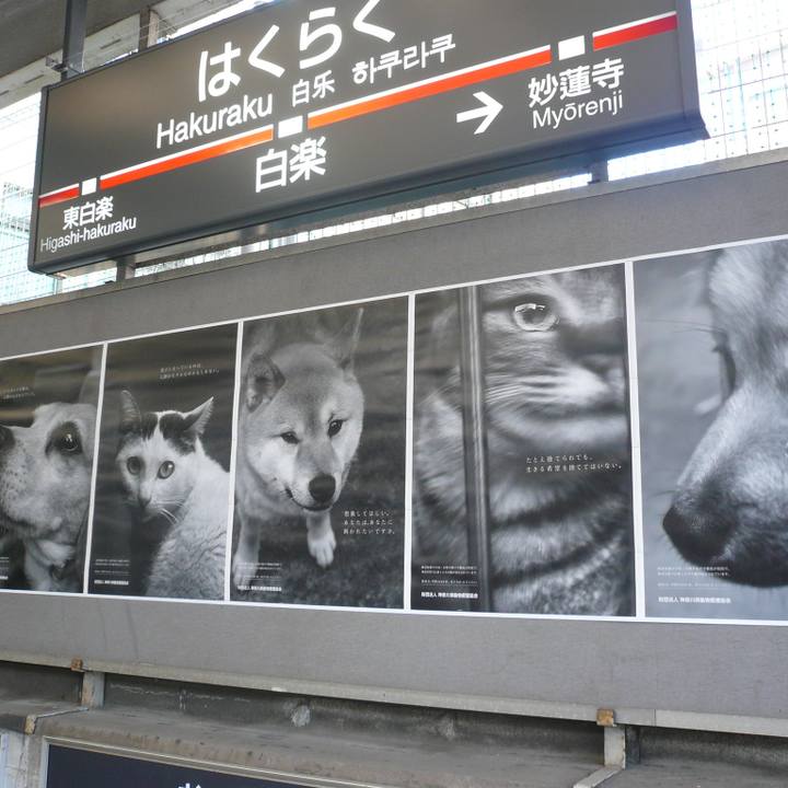 27179db2 75fb 4d0f a9d2 96159b275079 1624500121756