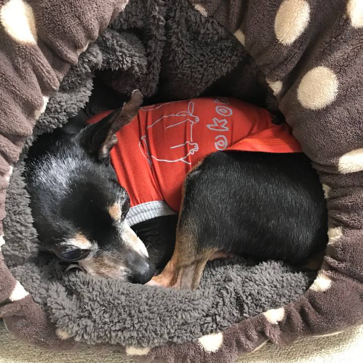 2717b841 cb11 4f2e 8245 5c02768eaf07 1574080035583