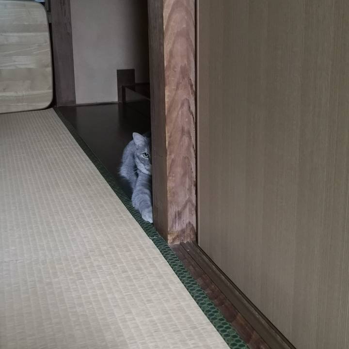 2717befb 4b42 4454 b9ed 04abd03306ac 1593957808394