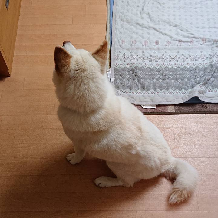 27182444 c3b0 4e80 954a 1356f0ebdad5 1557315199202