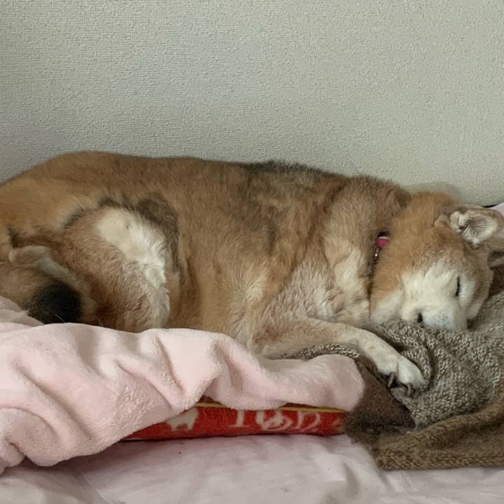 27183289 8571 4095 a0ae 7c3d5fd6cae4 1672570372424