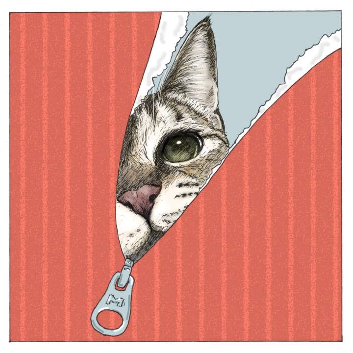 27189d31 c054 42a5 8564 416adcfc3675 1579271038846