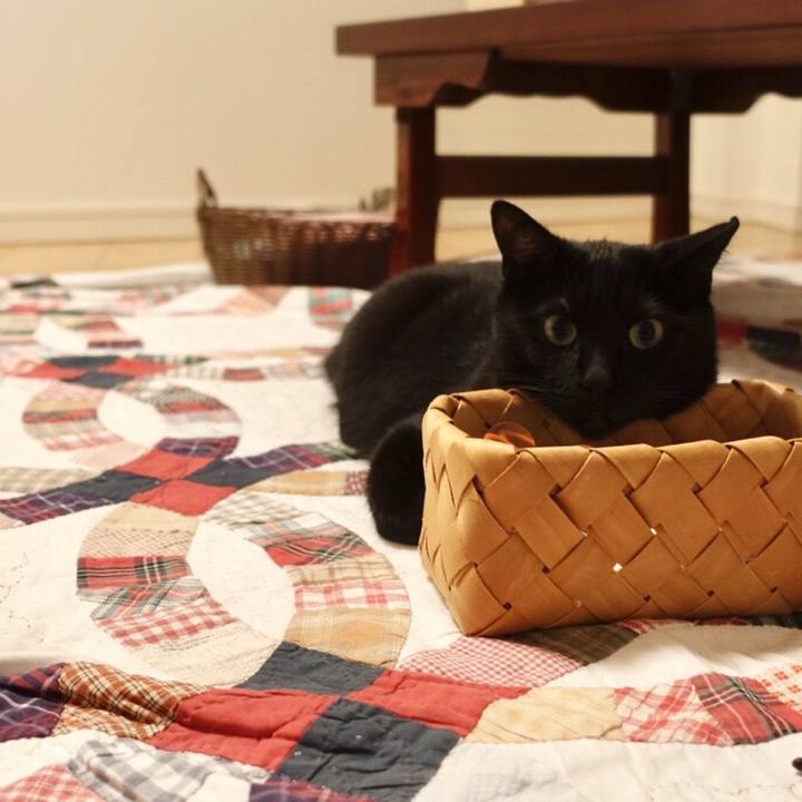 2718a72c 0063 42a1 a161 855e99580cef 1539874609418