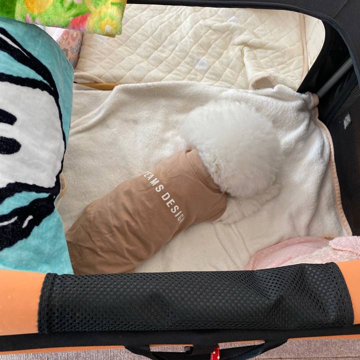 2718adf5 70cf 4470 b0ec 0ef2eecd770b 1730939397867