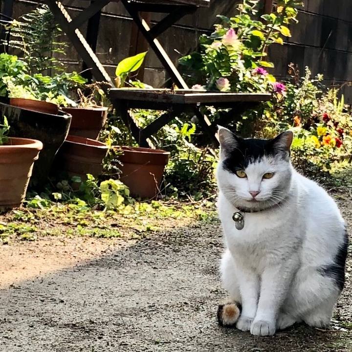 2718cd8f 91dc 46c6 b8e0 c5ad1ce956c2 1613388292197