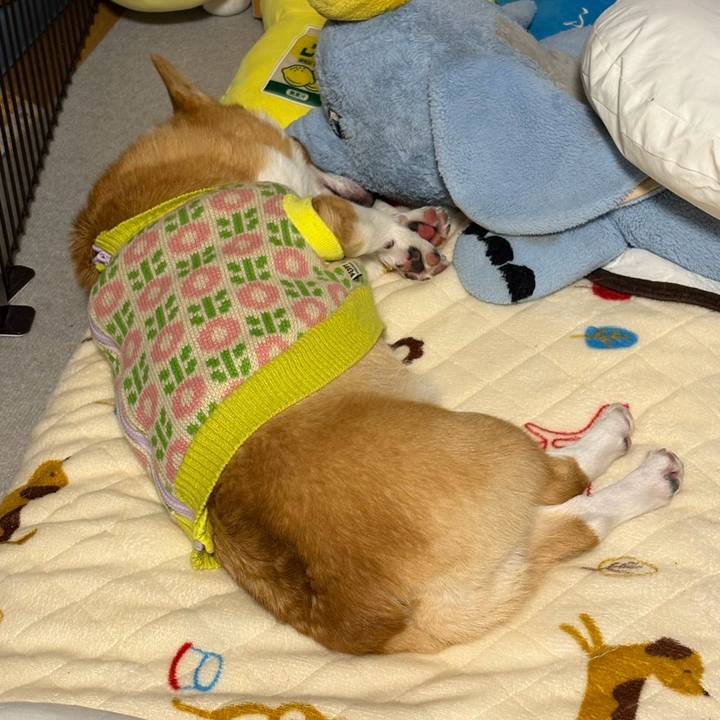 27190168 4ac5 493f 9f99 bf61388e8d53 1769791163478