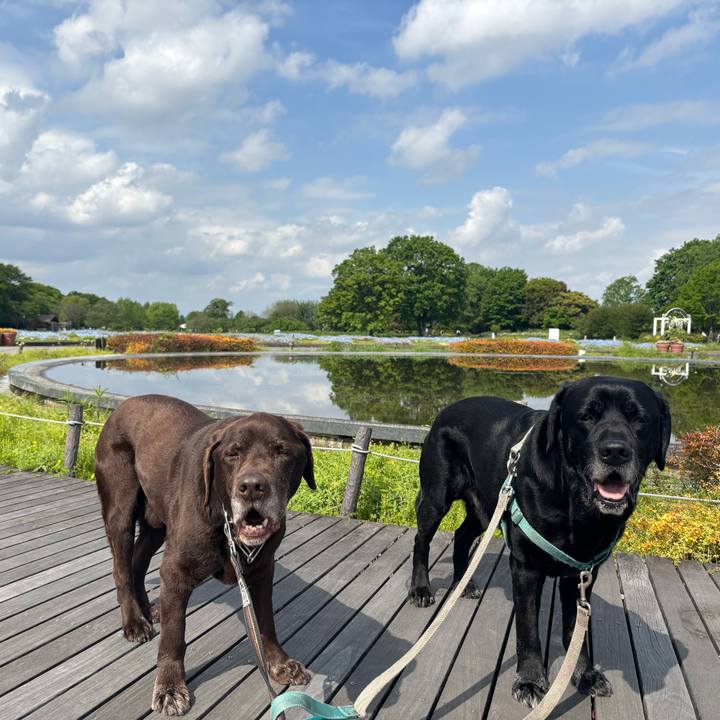 27190484 324d 46f7 bbc3 6119cf0df7dc 1777203069914