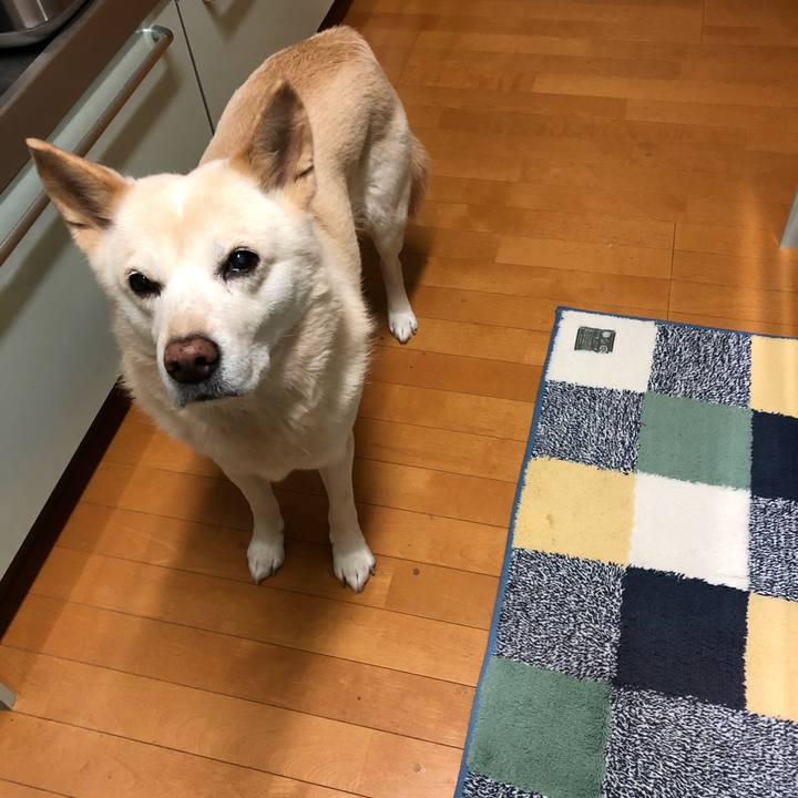 27194531 3503 4b0c bd03 02a47ff72daf 1576765240686