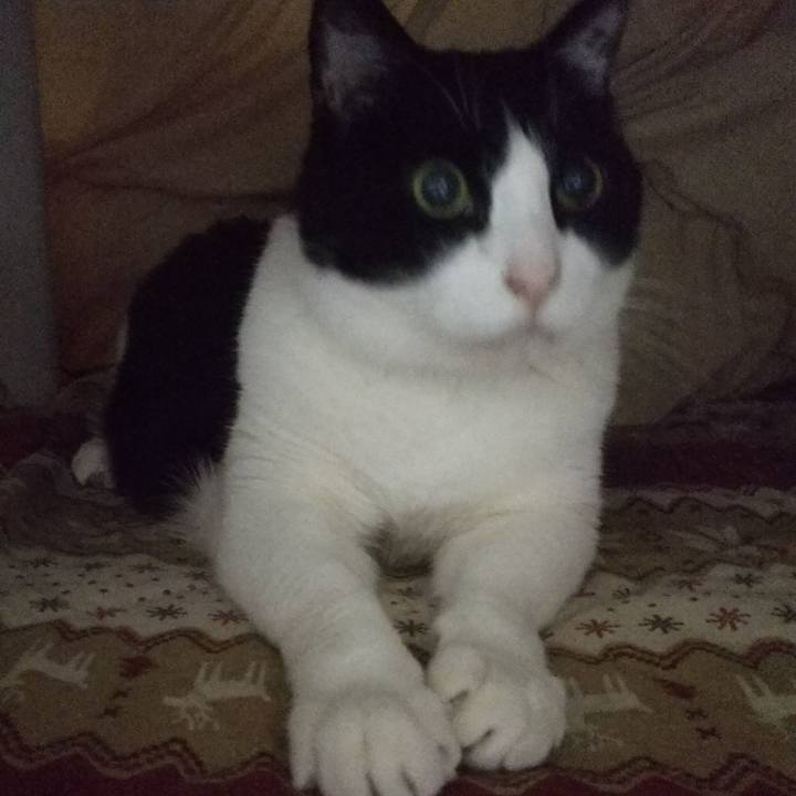 271949bf aecd 457a 8d06 b8d516749682 1548622726327