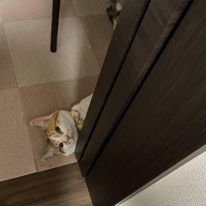 27198d95 9303 4659 86de 25251c0f81a4 1627911817590