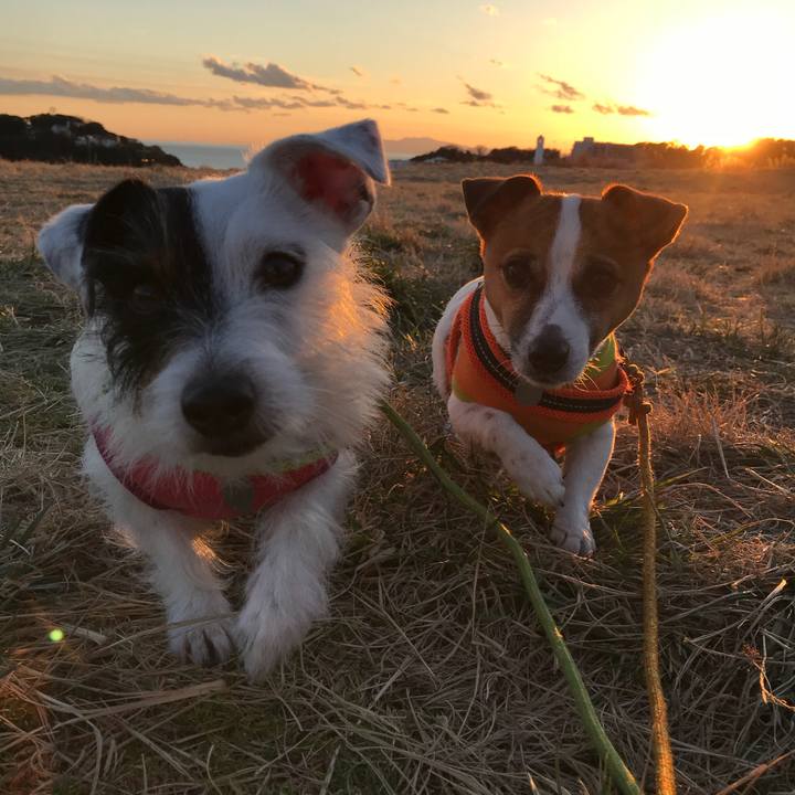 271995a5 d169 4271 94a6 11a358261736 1516868563364