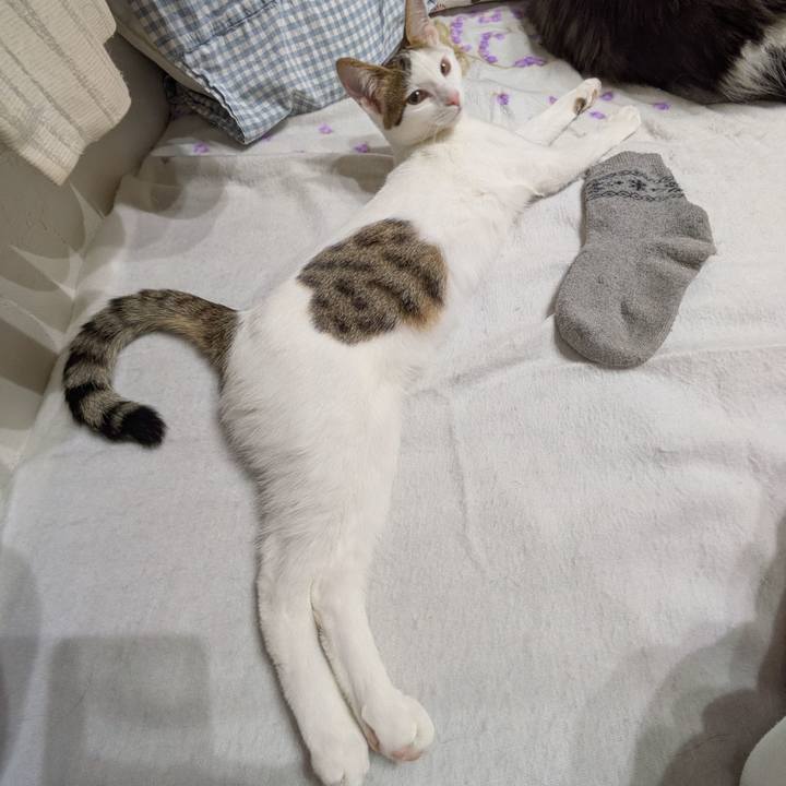 2719ae78 5a4e 488c b58f 574a74ea0b6d 1771075292910