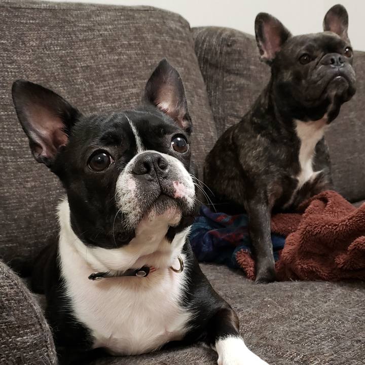 2719bd8a df5e 43b7 8f51 48aff6a29ca1 1582697024699