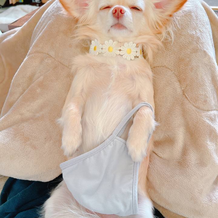 2719d276 9980 4e95 81c1 766adb27710b 1649325558024