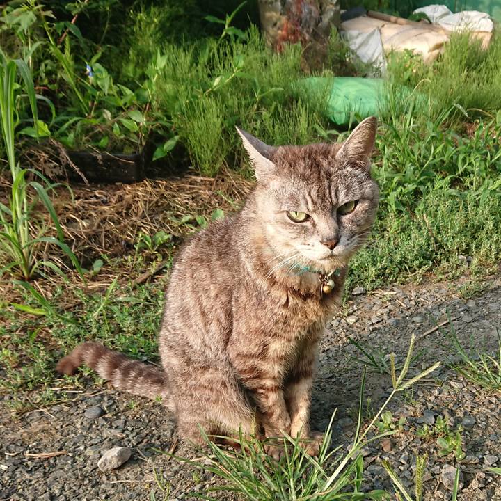 2719dce8 0c2b 4617 8304 7f60beb5803f 1564099327474