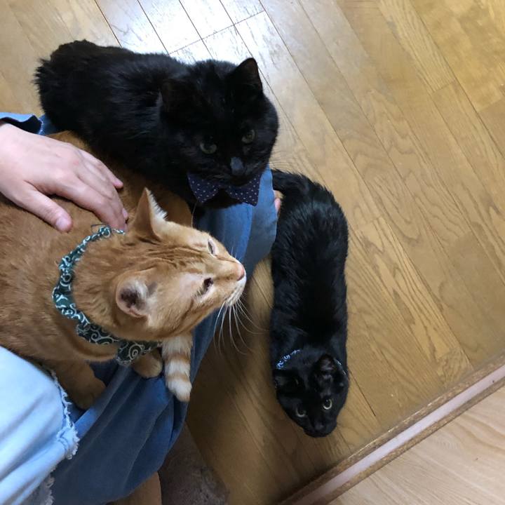 271a1b83 59bc 4c09 b9c2 c696c9b11526 1553776957876