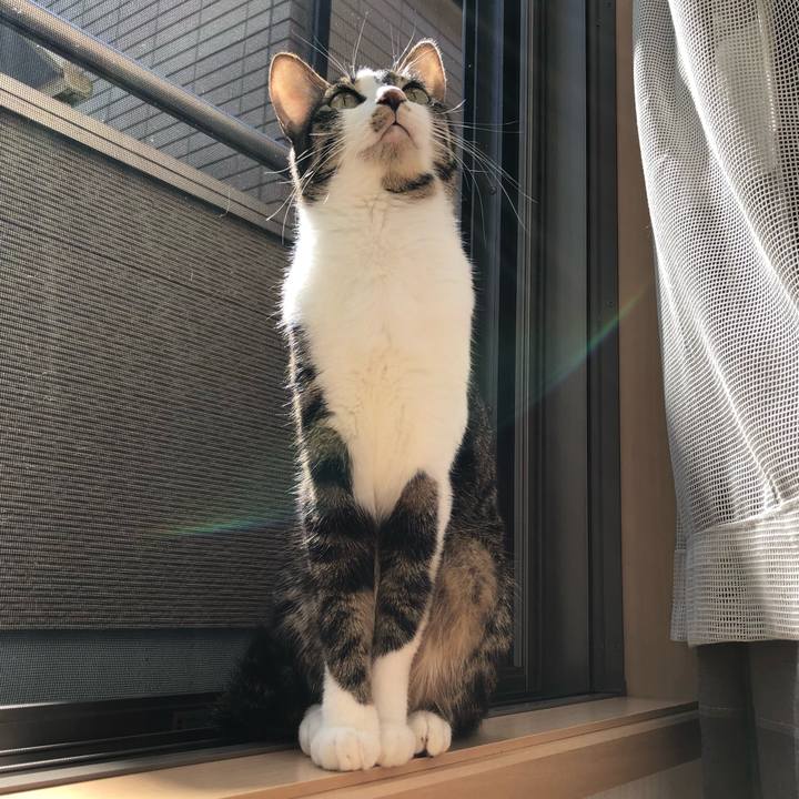 271ab647 2a5b 4c79 8758 6fdbcc7c4461 1521285798864