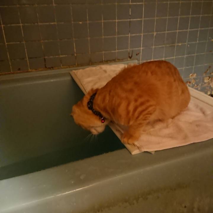 271ab69d 6df5 4381 9725 5d8e2920410e 1635931939261