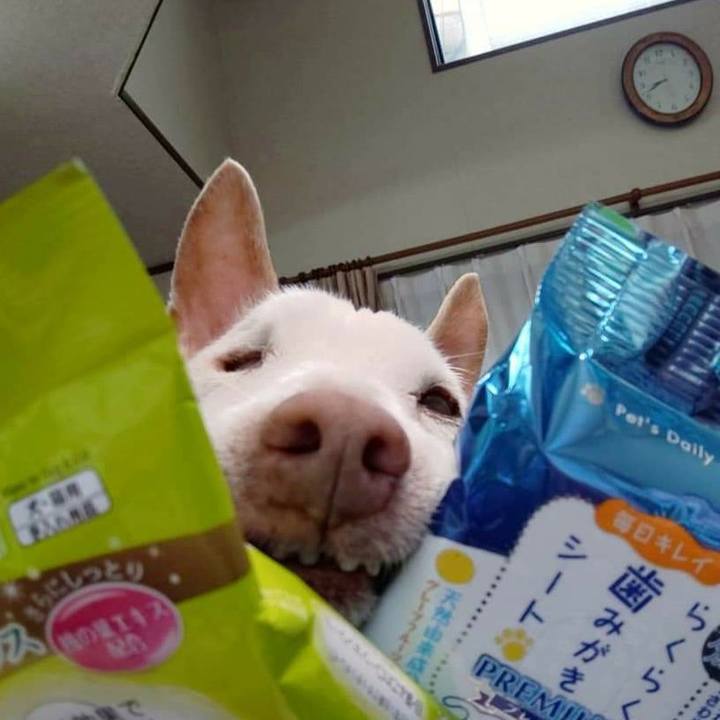 271ad625 1b56 406d 9c73 89a1d6e63884 1627001177249