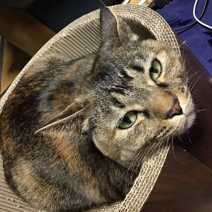 271ad937 1678 454f b935 819aae21578d 1705400840960