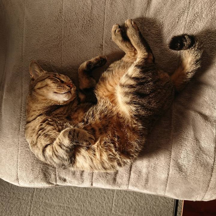 271adfb6 e290 4c1a 8eeb c885bf8d6175 1603608516380