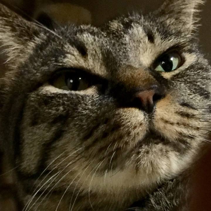 271b0745 97e3 484f 8204 c99120423d82 1562667312262