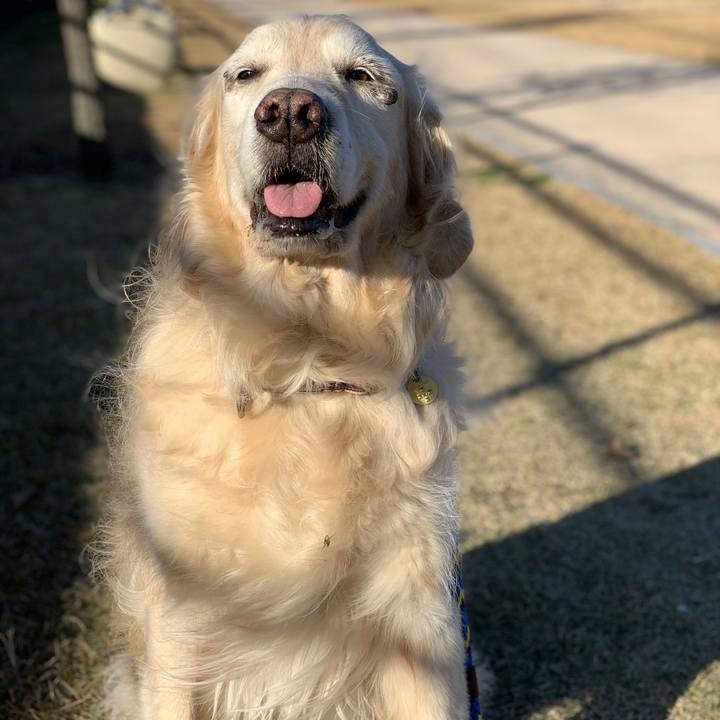 271b086c e14e 4946 96e4 83dc32148093 1574546748725