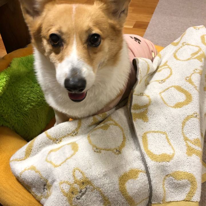 271b193c ccaf 4069 9b43 ce18a1f4c18f 1736846314237