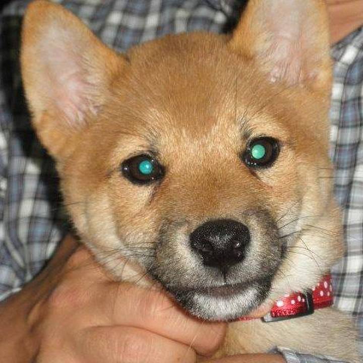 271b1a5a b696 4d26 a3c9 47e20ce420fa 1585010938634