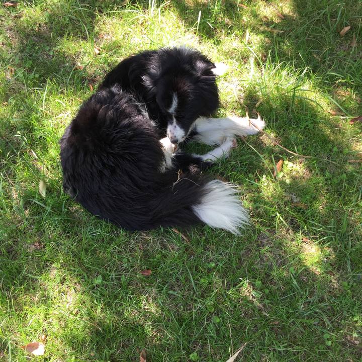 271b1acf 5e24 4156 ab71 799b01d3a24b 1565594174336