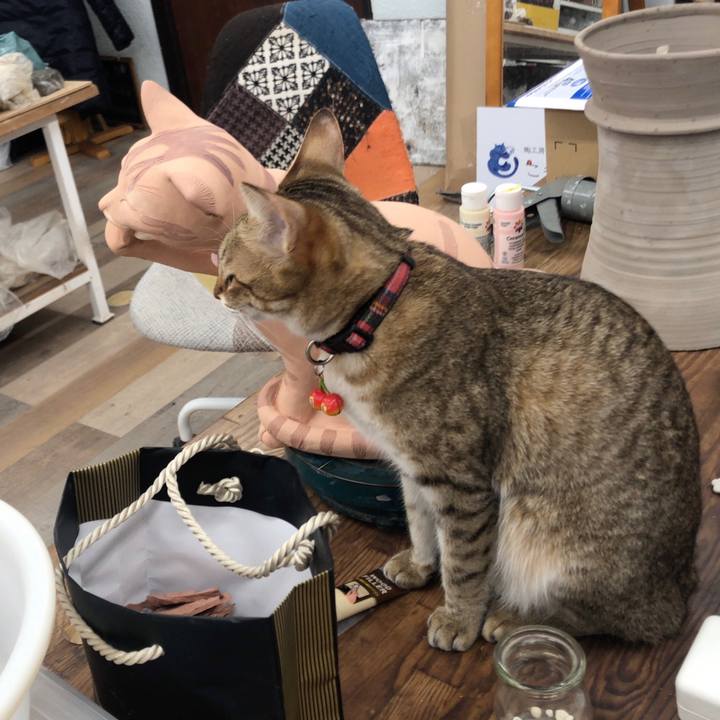 271b2266 24d5 48d9 a338 abf2f82349c8 1647164140481